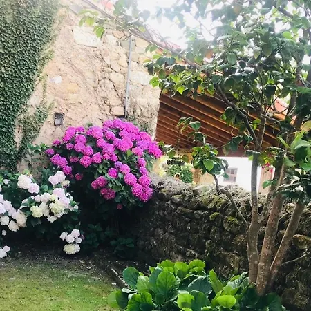Camelias * Mazcuerras